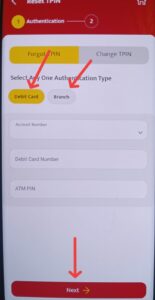 Pnb One TPIN Kaise Banaye